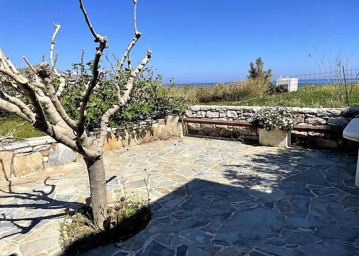 Ariadne's - Apollonas *